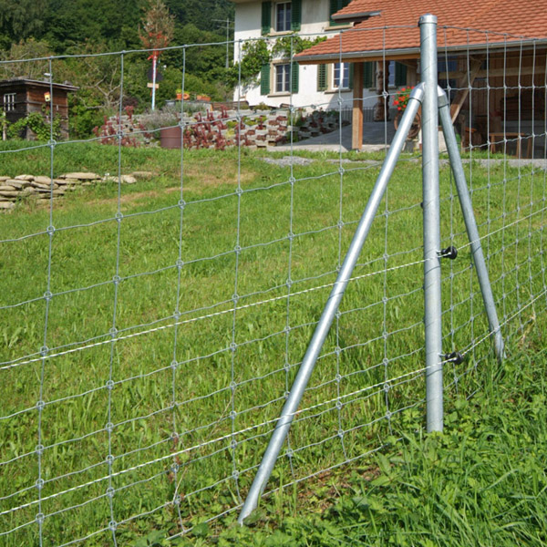 knotengitter